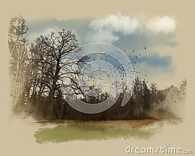 A large tree at the forest edge. Watercolor sketch. Stock Photo
